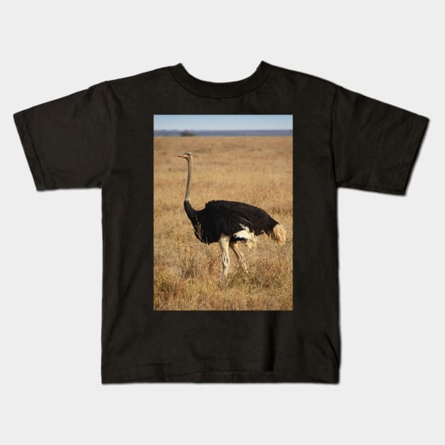 Male Ostrich, Serengeti, Tanzania Kids T-Shirt by Carole-Anne